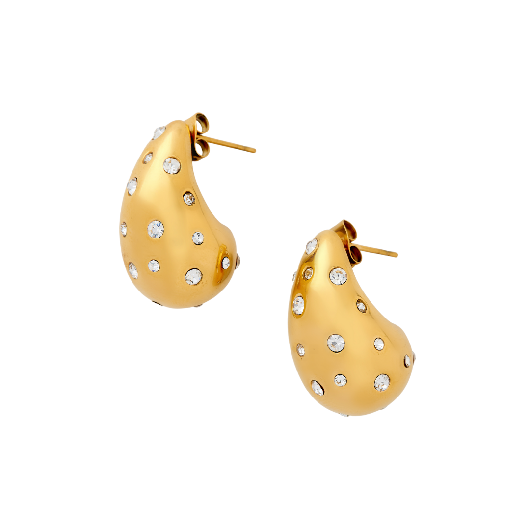 Caryn Lawn Mary Earring Clear