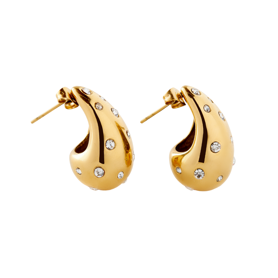 Caryn Lawn Mary Earring Clear