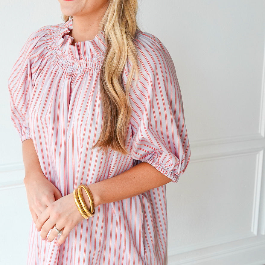 Caryn Lawn Brooke Dress Gray and Persimmon Stripe