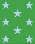 Caryn Lawn Green/blue star Sleep Shirt