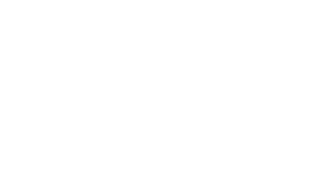Caryn Lawn 